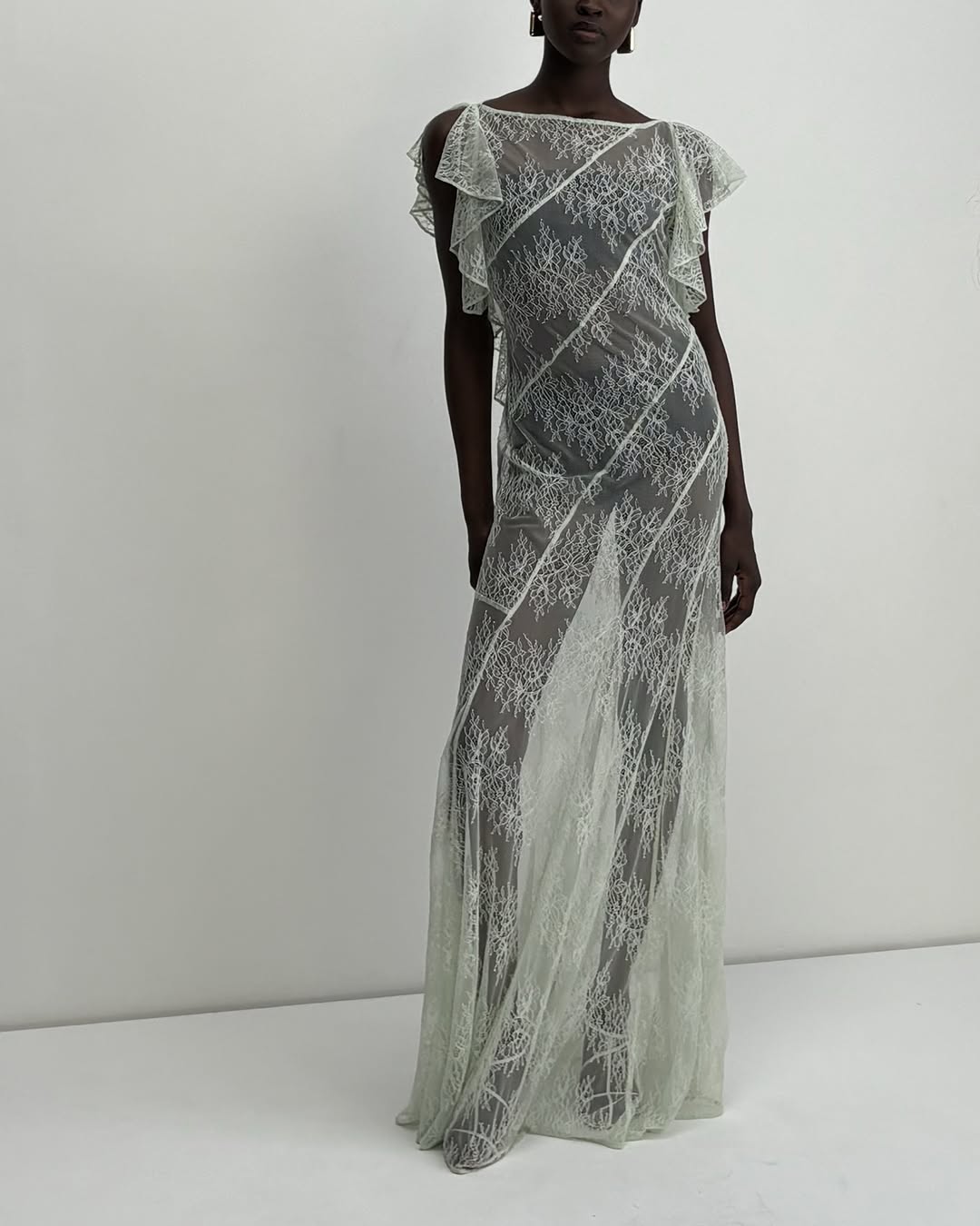 Studio shot of the same sheer lace dress featuring ruffled cap sleeves.